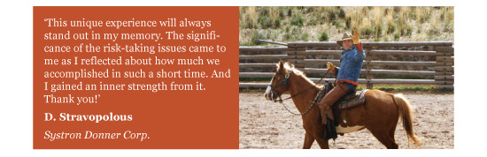 d.stravopolous quote